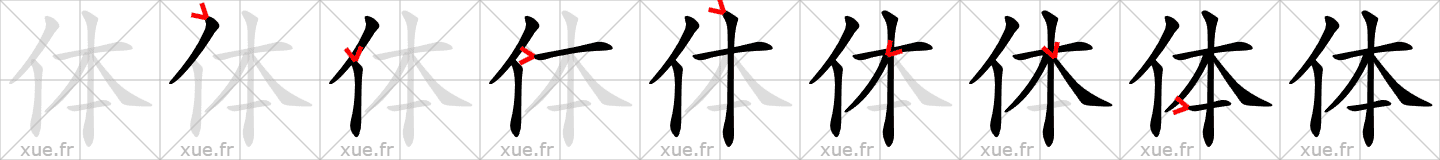 Chinese Hanzi stroke order for 体