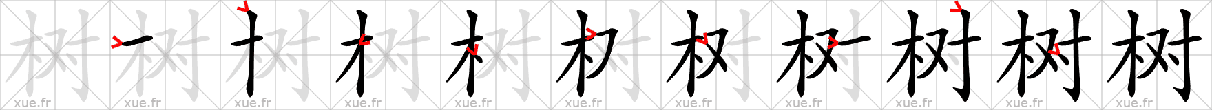 Chinese Hanzi stroke order for 树