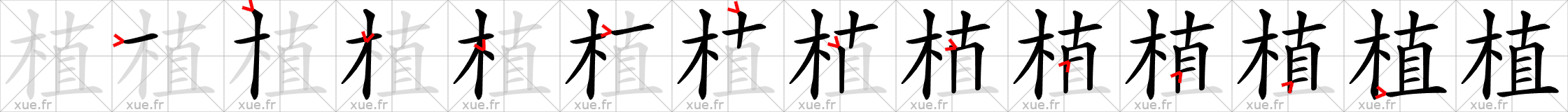 Chinese Hanzi stroke order for 植