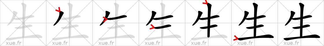 Chinese Hanzi stroke order for 生