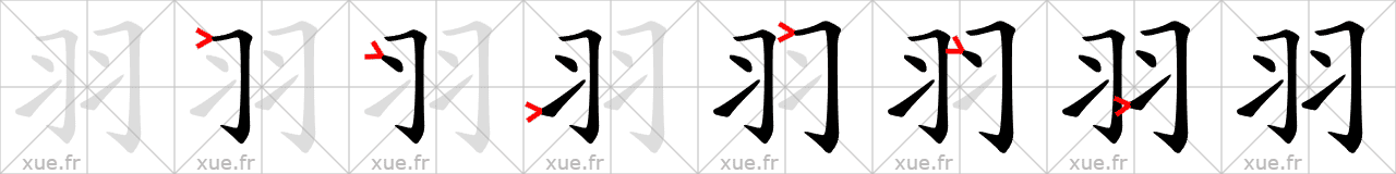 Chinese Hanzi stroke order for 羽