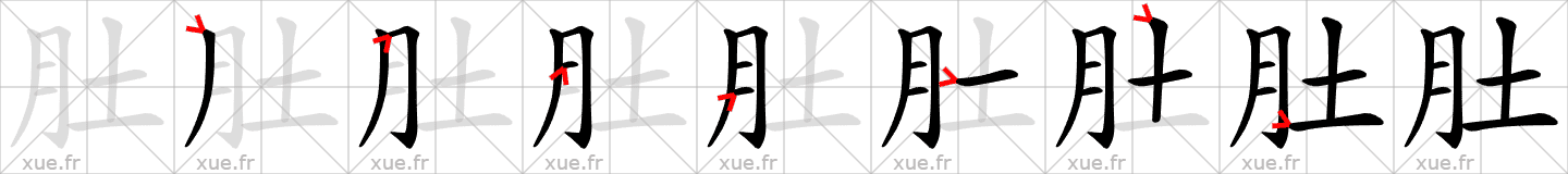 Chinese Hanzi stroke order for 肚