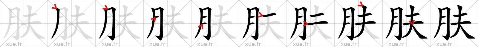 Chinese Hanzi stroke order for 肤
