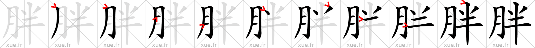 Chinese Hanzi stroke order for 胖