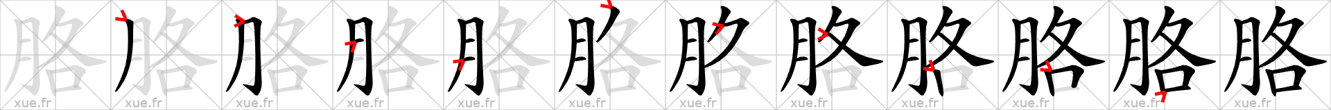 Chinese Hanzi stroke order for 胳