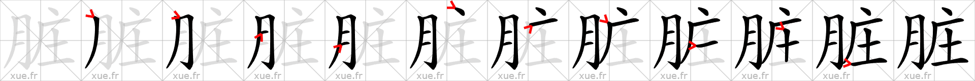 Chinese Hanzi stroke order for 脏