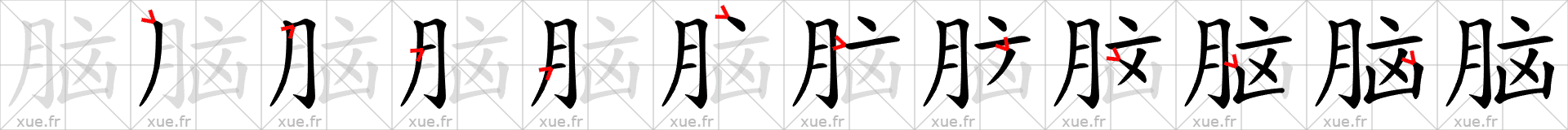 Chinese Hanzi stroke order for 脑