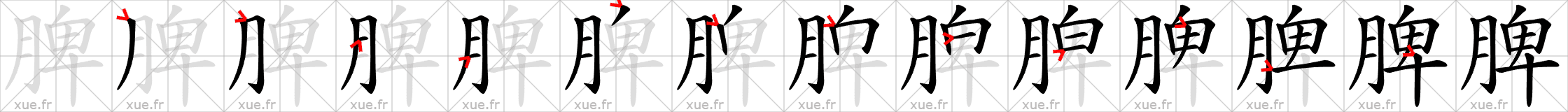 Chinese Hanzi stroke order for 脾