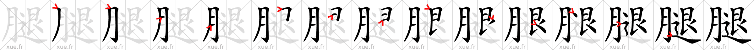 Chinese Hanzi stroke order for 腿