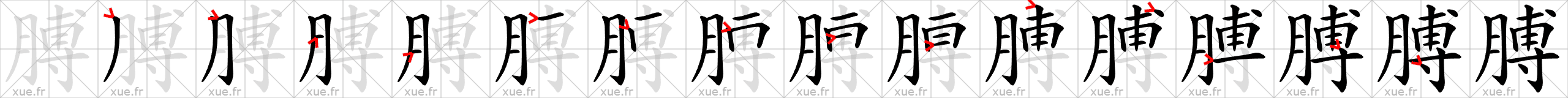 Chinese Hanzi stroke order for 膊